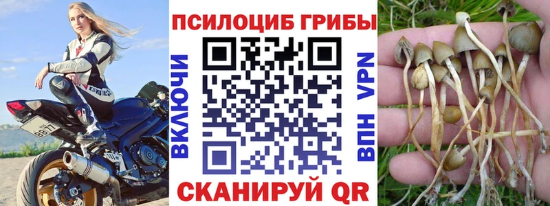 Псилоцибиновые грибы мицелий  Купить где  Курчалой 